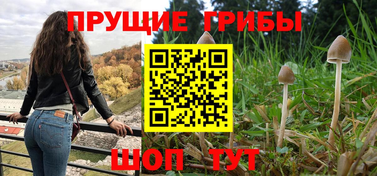 Галлюциногенные грибы ЛСД Буйнакск