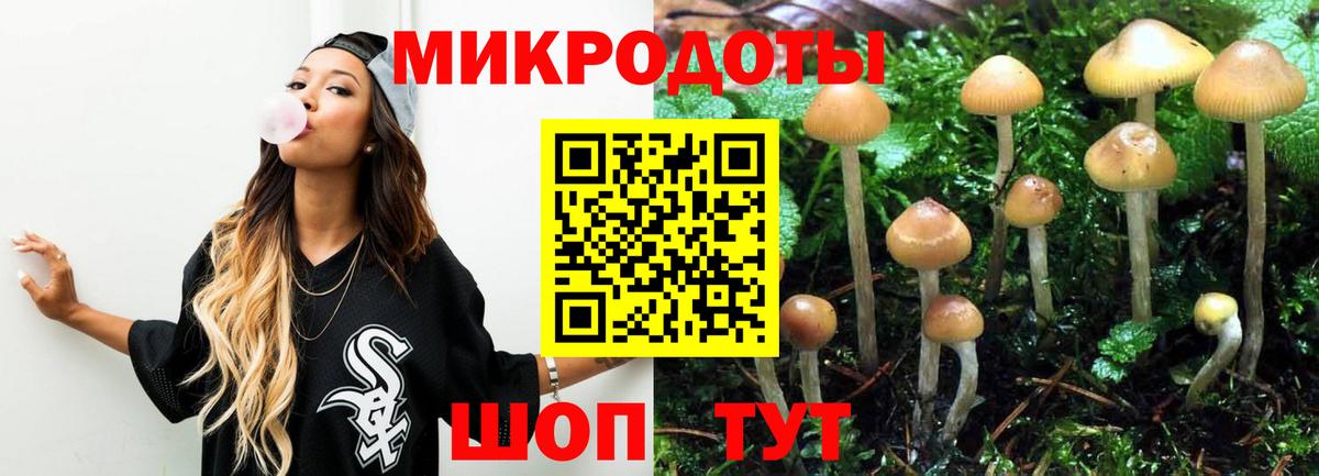 Буйнакск  Галлюциногенные грибы Psilocybine cubensis  Вход с VPN 