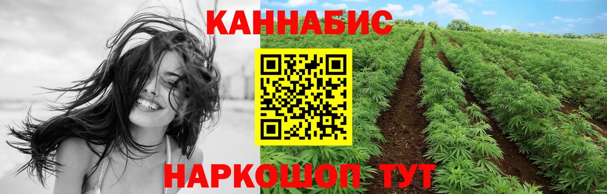 Бошки марихуана White Widow Буйнакск